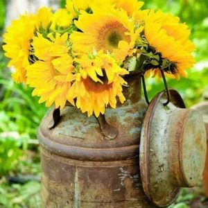 Meet your Posher, Sheryl